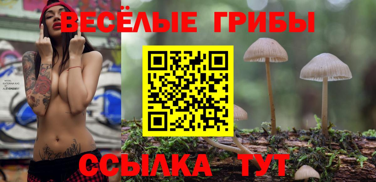 Псилоцибиновые грибы Psilocybine cubensis Лянтор